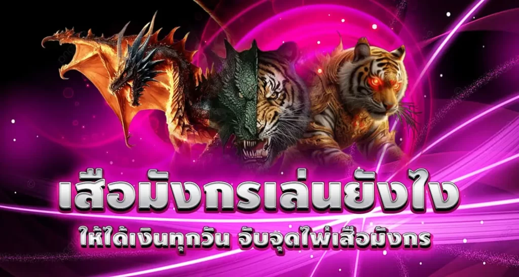 เสือมังกรเล่นยังไง ให้ได้เงินทุกวัน จับจุดไพ่เสือมังกร