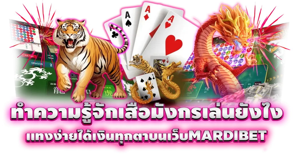 ทำความรู้จักเสือมังกรเล่นยังไง เเทงง่ายได้เงินทุกตาบนเว็บMARDIBET