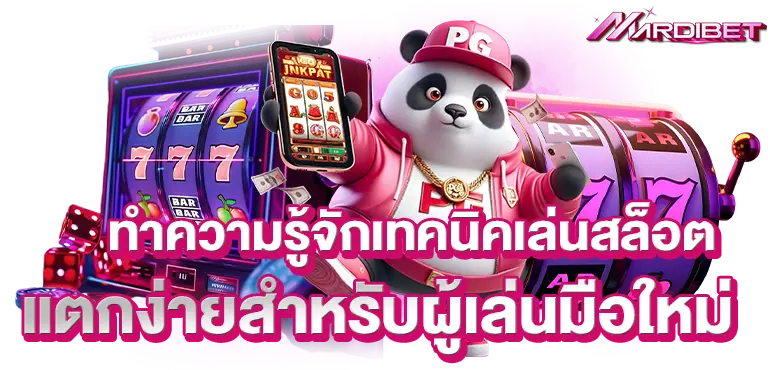 เรียนรู้ติกาไพ่เสือมังกร เกมรูปเเบบใหม่ที่คนนิยมเล่นกันอย่างเเพร่หลาย